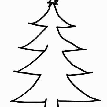 chirstmas tree for decoration